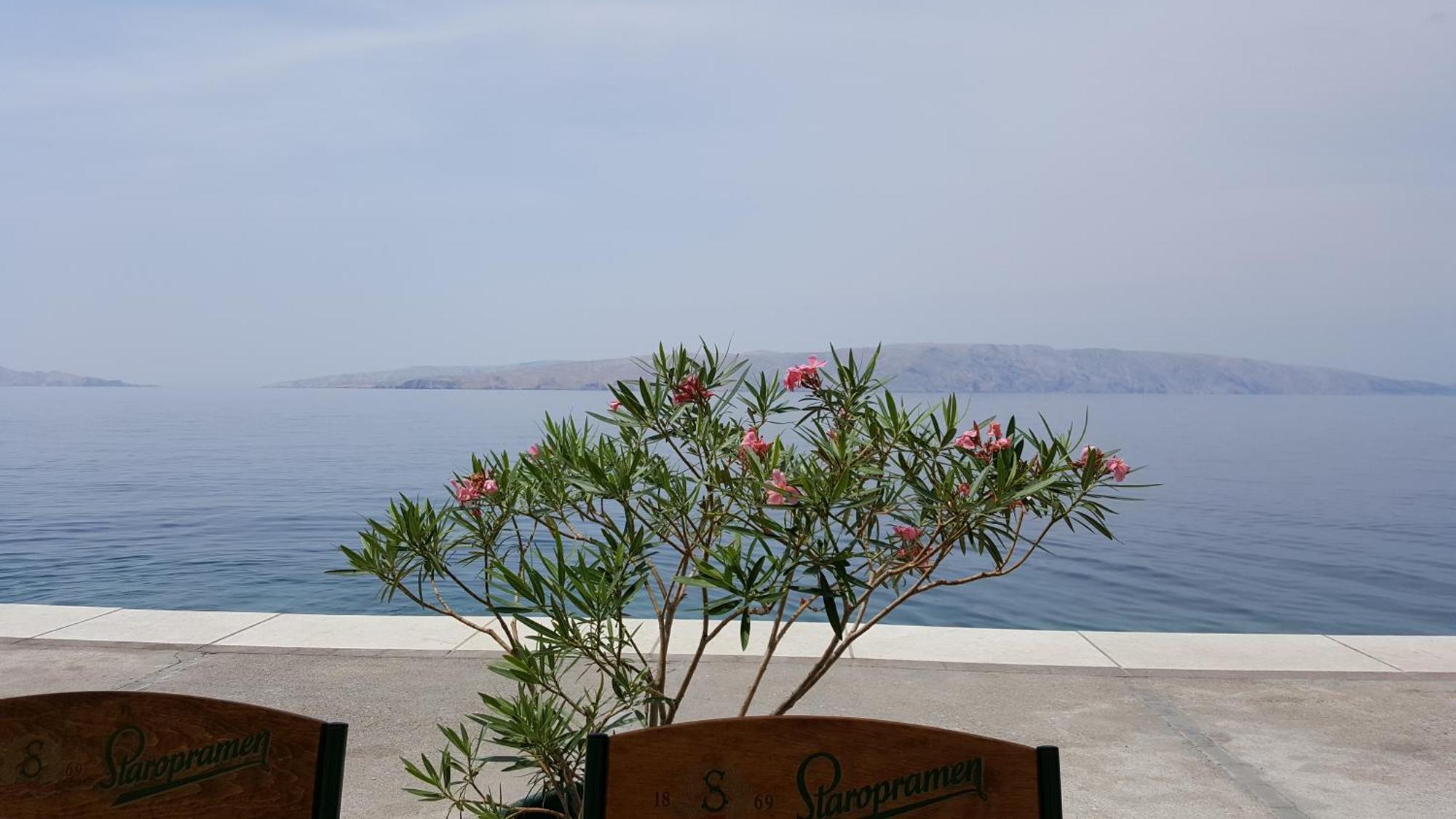 Apartman Bura Senj  Bagian luar foto